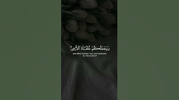 الأية 62 من سورة النمل 🎧