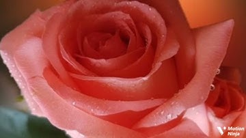 ومن يقل منهم إني إله من دونه الربع الثاني من الجزء السابع عشر من سورة الأنبياء الحصري المعلم للقران