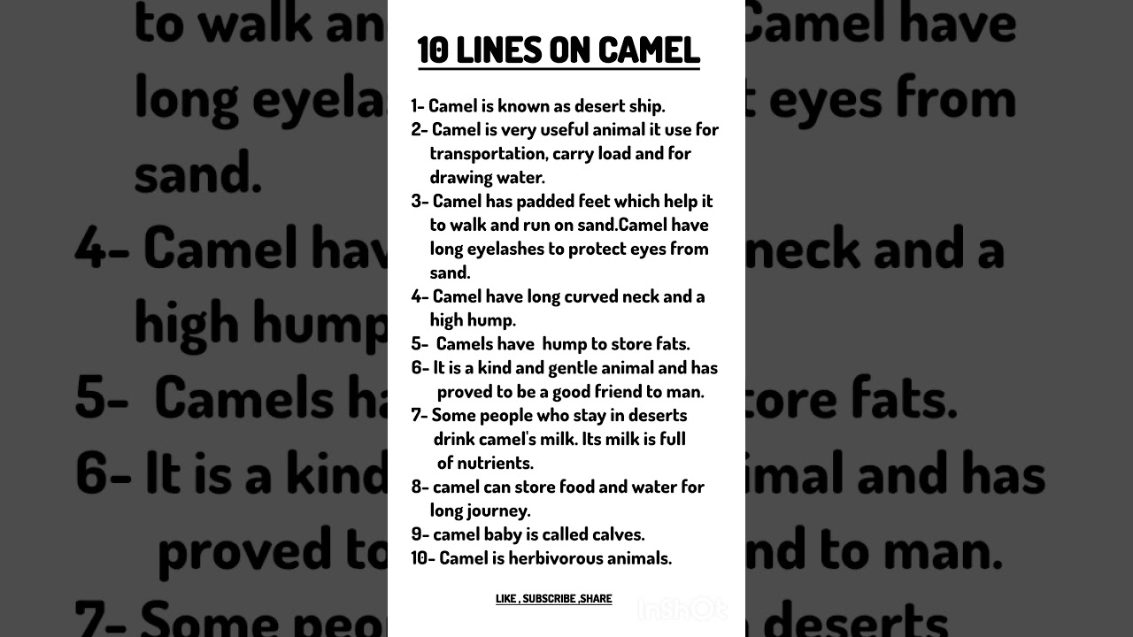 10 lines essay on camel/10 lines on desert animal camel/10 points on domestic animal camel/