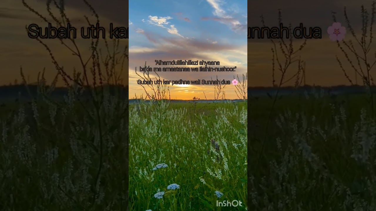 “Calm sunrise”  “Soft morning instrumental”  “Oud spiritual background”