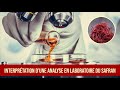 Comment lire une analyse en laboratoire du safran  interprtation des rsultats