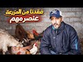 الحياة الجبلية في ايام رمضان فقدان عنصر مهم بالمزرعة و الاعتناء بالدجاج و الماعز و المزروعات