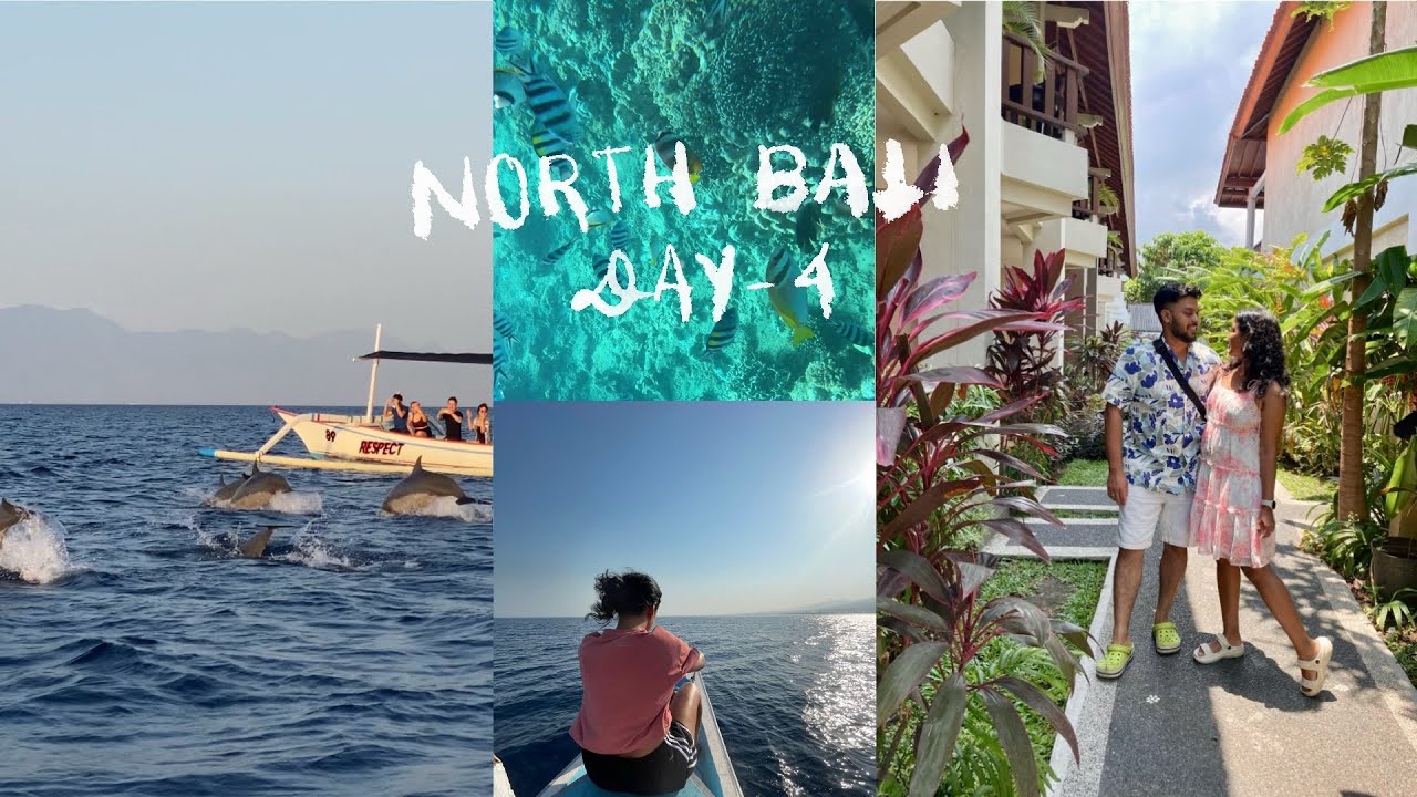 Bali’s Most UNDERRATED Experience! Sunrise Dolphins + Snorkeling 🐬🌊