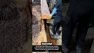 Horizontal Bandsaw Sawmill Process for Cutting Large Logs !! #innovation #tools #tool