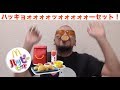 【閲覧注意】ハッピーセット、いいやハッキョーセット！「マクドナルド・マック・ティーニービーニーブーズ」