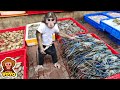 Funny YoYo goes to buy Seafood