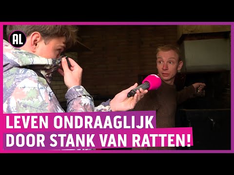 Ratten terroriseren flat; bewoners over tot moord!