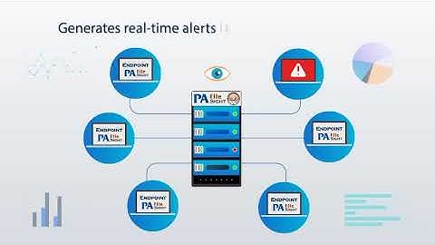 PA File Sight - Protection and Auditing