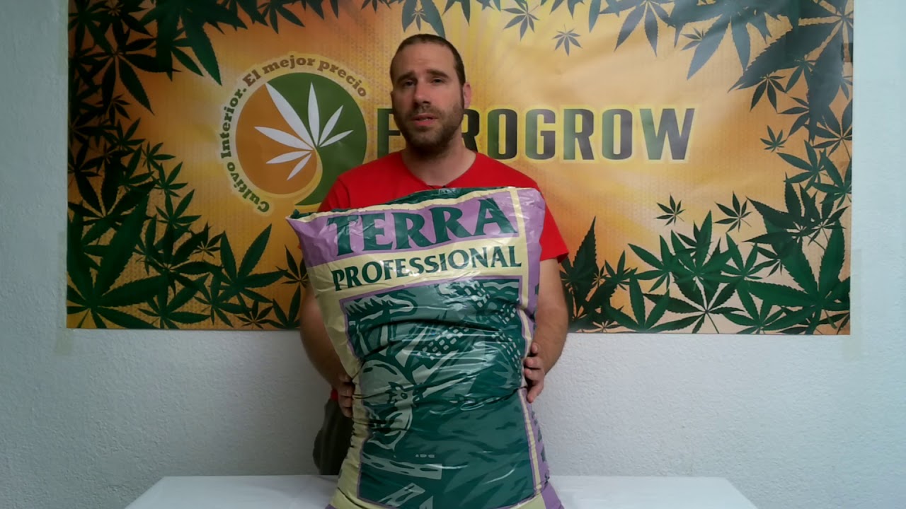 Sustrato Canna Terra Profesional | Eurogrow.es