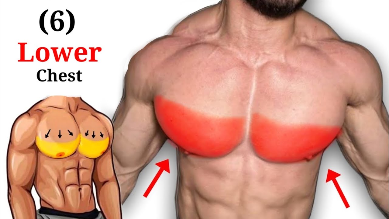 How To Build Lower Chest Muscle Lower Chest Workout YouTube How To Build Lower Chest Muscle Lower Chest Workout YouTube