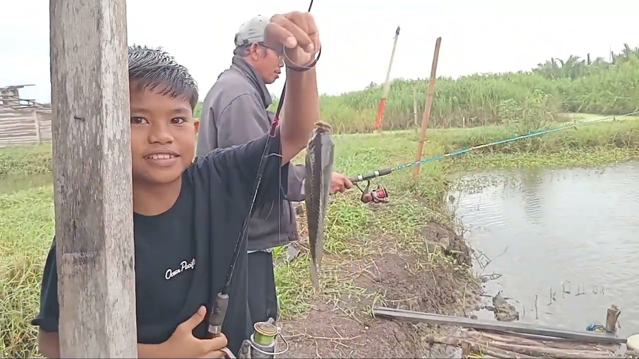 Buka perdana kolam bang anto,tgl 23/11/25,jam setengah 5 pagi di pauh amparan perak