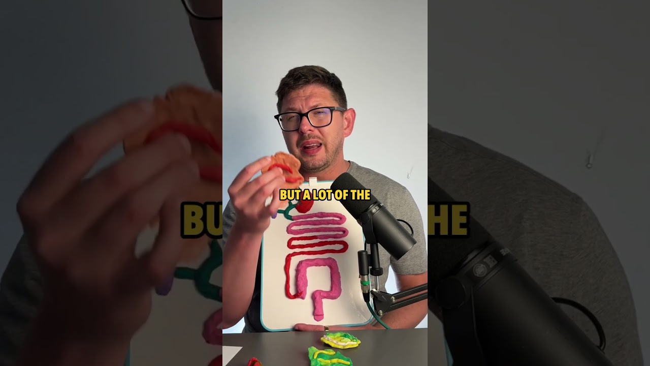 Различие между калом при болезни Крона и калом при колите — руководство по диагностике ВЗК