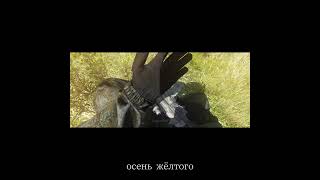 ARMA II (try edit)