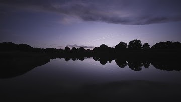 Neoderma The Fortress