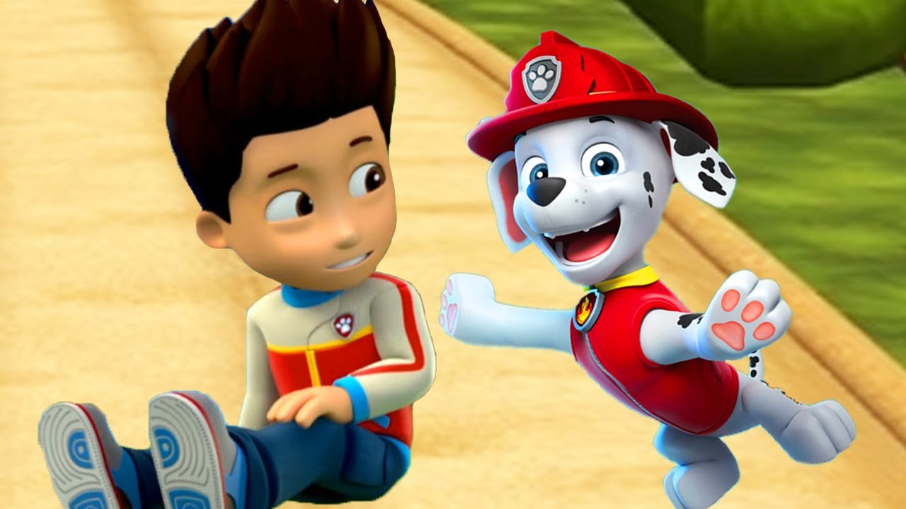 paw patrol paw patrol ryder