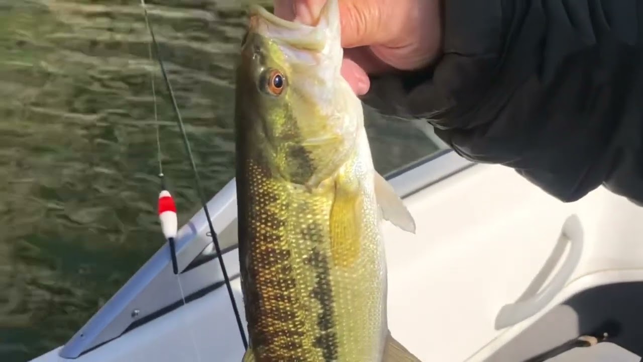 Iu-Mienh YP Channel #36 Bass Fishing Pt.A