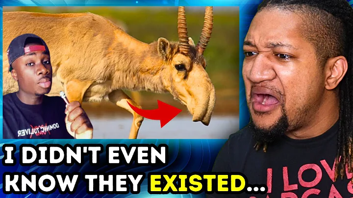 10 Animals You Definitely Forgot Existed ( Casual Geographic ) | Reaction
