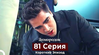 Зимородок 81 Cерия (Короткий Эпизод) (Русский Дубляж)