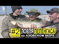 Ловля Пеленгаса с берега весной. Азовское море. Выпуск #2