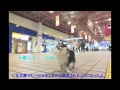 土曜ショ-196904いしだあゆみ.m2ts