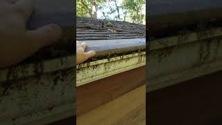 Another Gutter Helmet Fail