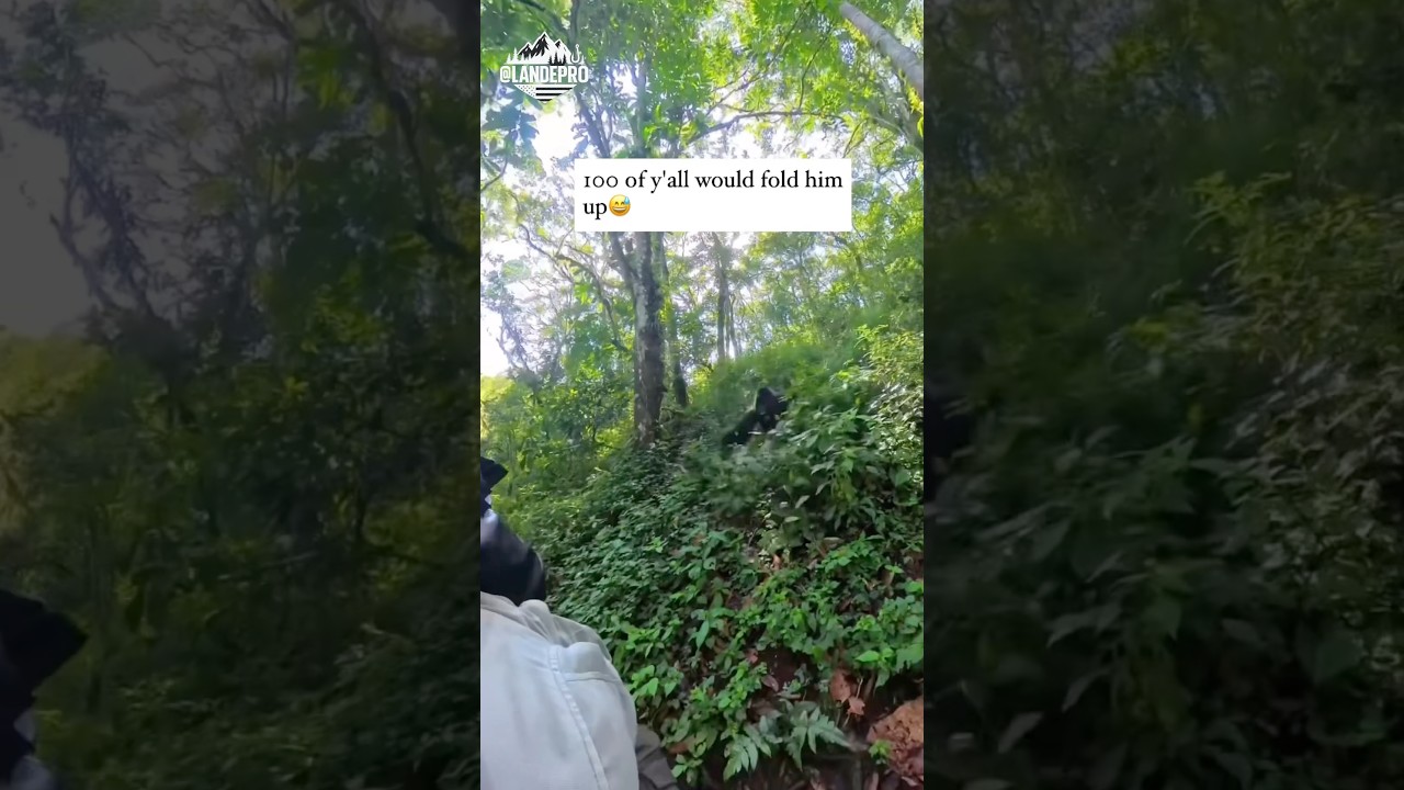 100 Men vs a Gorilla? (No Weapons) 