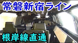 特別列車から眺める湘南新宿ライン【REXPゆう４】田端信→新鶴見信