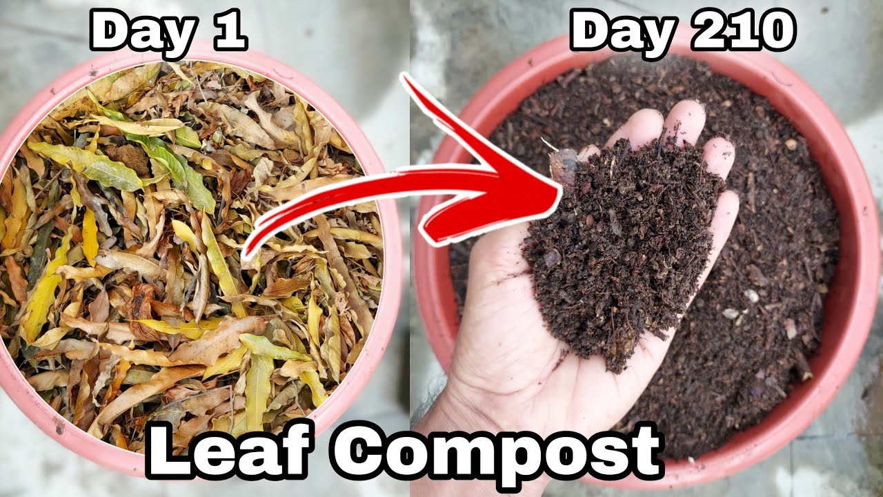How to make compost at home, How to make LEAF COMPOST with no smell
