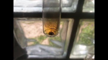 Element exploration: Selenium