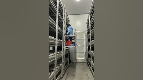 White button mushroom growing equipment Ⅳ——Mushroom picking platform