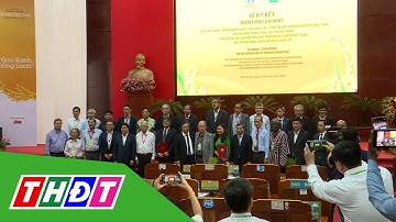 Khoa học công nghệ và đổi mới cho ngành lúa gạo | THDT