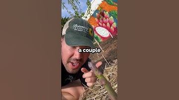 I finally grew asparagus...