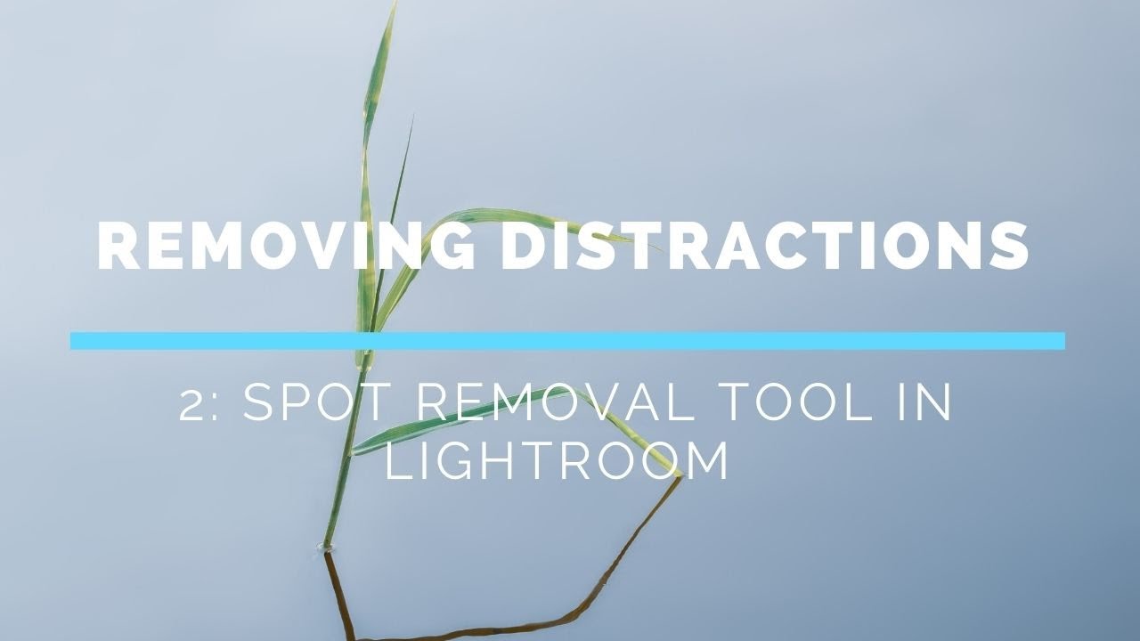 Removing Distractions 2. EASY Spot Removal Tool in Lightroom YouTube