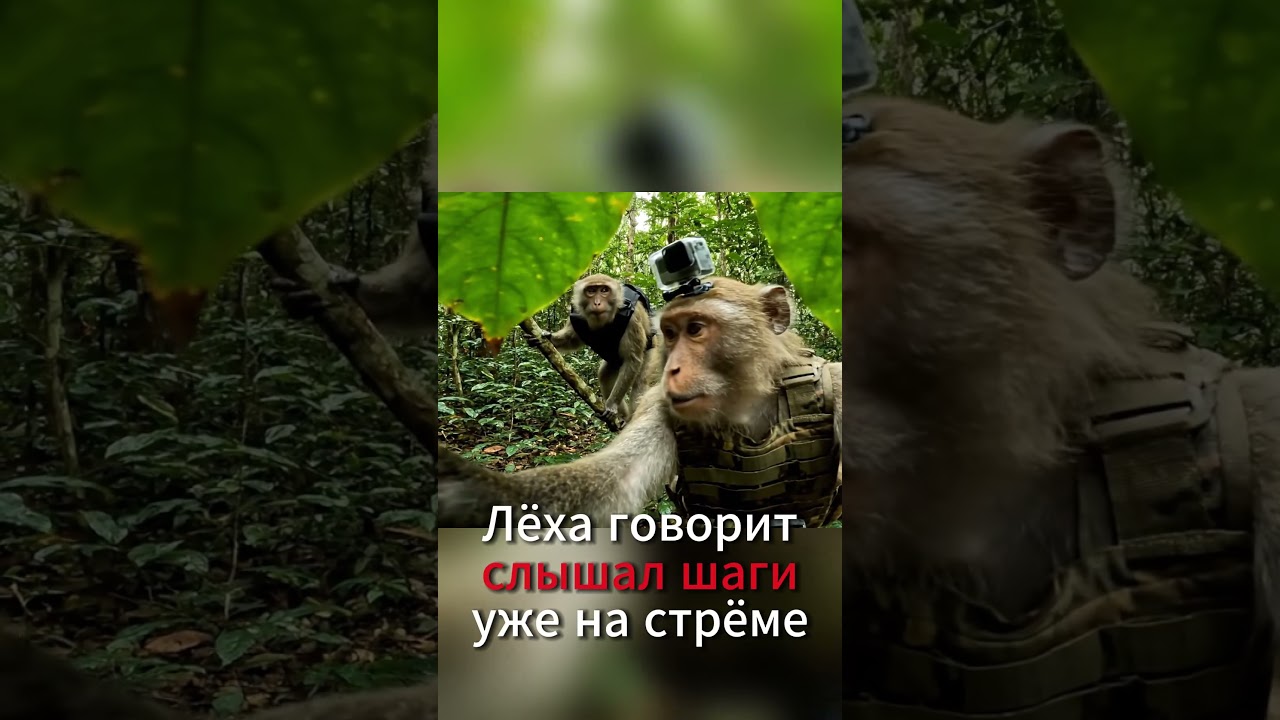 🎥 GoshaVlog #27 | Лёха ведет блог, сумки и новые тайны джунглей! 🌴💼🔥