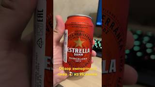 Дорогое пиво из Магнита Estrella Damm #shorts