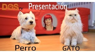Presentación Perro y Gato (Consejos)  DOS adiestramiento