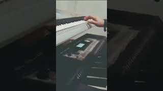 Dos Mujeres Un Camino (Intermedio)#bronco #pianocover #teclado