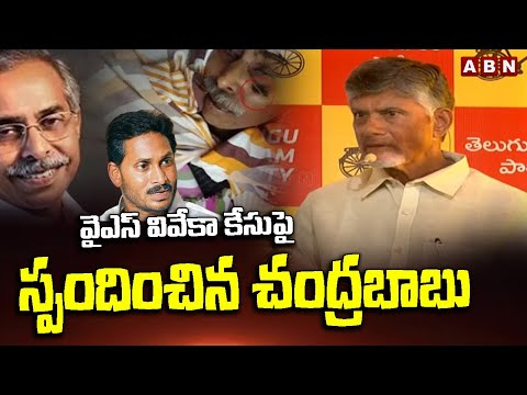 వైఎస్ వివేకా కేసు పై స్పందించిన చంద్రబాబు | Chandrababu Naidu Over YS Viveka Case | ABN Telugu - ABNTELUGUTV