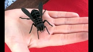 Achtung MONSTERBIENE! (3D-Puzzle)