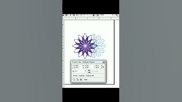 Corel draw Short Video Unique Design step by step| Lunar Computer College