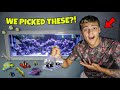 PICKING OUT FISH for My SALTWATER AQUARIUM!! (crazy)