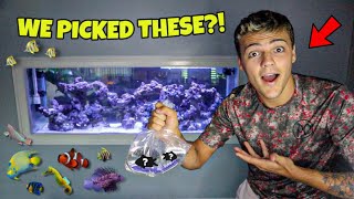 PICKING OUT FISH for My SALTWATER AQUARIUM!! (crazy)