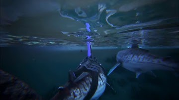 Megalodon Tek Saddle The Island / ARK Survival Evolved