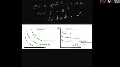 Vick Grossman Model 6: Income Shocks in the Grossman Model