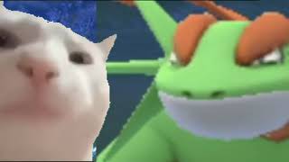 Salamence & Cat Vibing - When You Play Pogo With The On