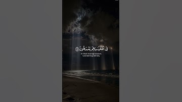 “شارك الأجر وانشر آيات القرآن، فالدال على على الخير كفاعله 📖✨🤲🏼”#القرآن_الكريم #آيات_القرآن