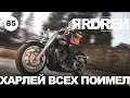 ХАРЛЕЙ ВСЕХ ПОИМЕЛ