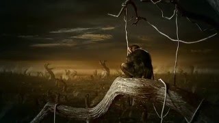 Best Video You Will Ever See  Stop Global Warming Awareness Video