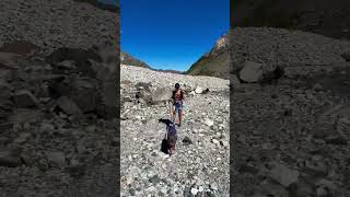 Hiking to the glacier with pit bull