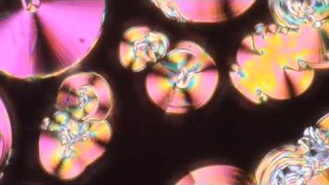 Liquid Crystallization 2